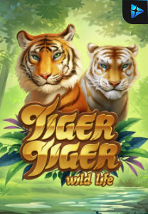 Bocoran RTP Slot Tiger Tiger Wild Life di WEWHOKI