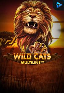 Bocoran RTP Slot Wild Cat Multiline di WEWHOKI