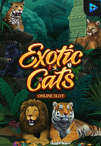 Bocoran RTP Slot exoticcats di WEWHOKI
