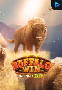 Bocoran RTP Slot Buffalo Win Infinity Reels di WEWHOKI